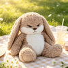Grumpy Rabbit Plushie